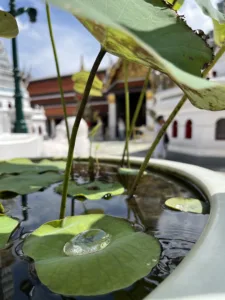 Honeymoon in Thailand