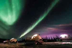 Borealis Basecamp