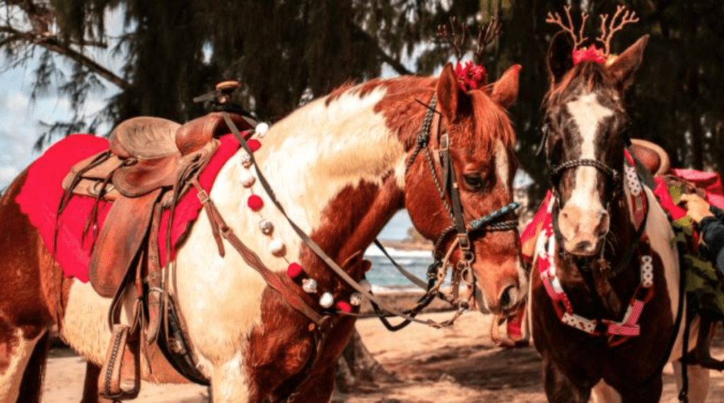 Turtle Bay horses