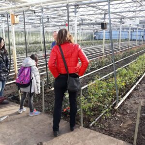 Family Touring Holland tulips