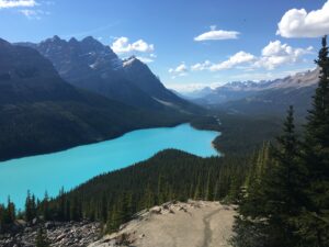 Peyto Lake, another gorgeous stop on the Icefields Parkway.