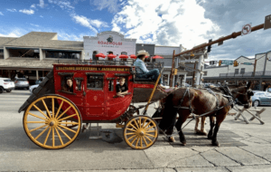 Stagecoach ride in the town of Jackson, WY